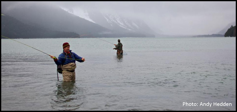 Silver Salmon Fly Fishing Haines Alaska