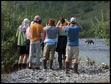 Grizzly viewing on Aichilik River - ANWR Rafting
