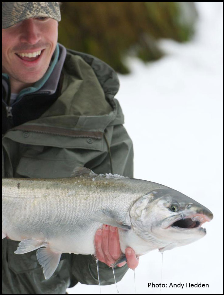 Greg Schlachter Silver Salmon Haines Alaska