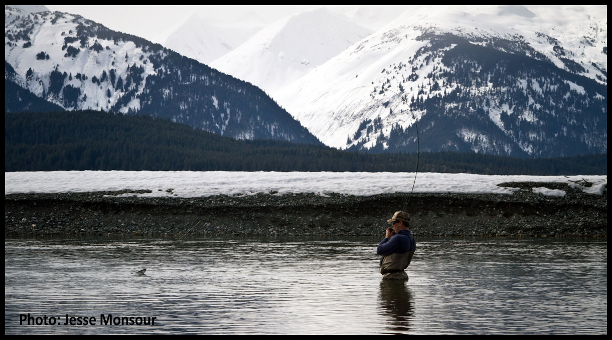 Dolly Fishing in Haines