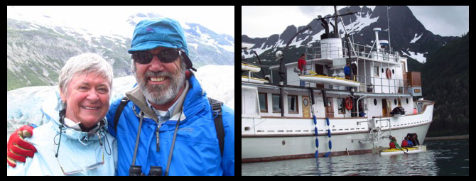 Sea Wolf Glacier Bay Alaska Review