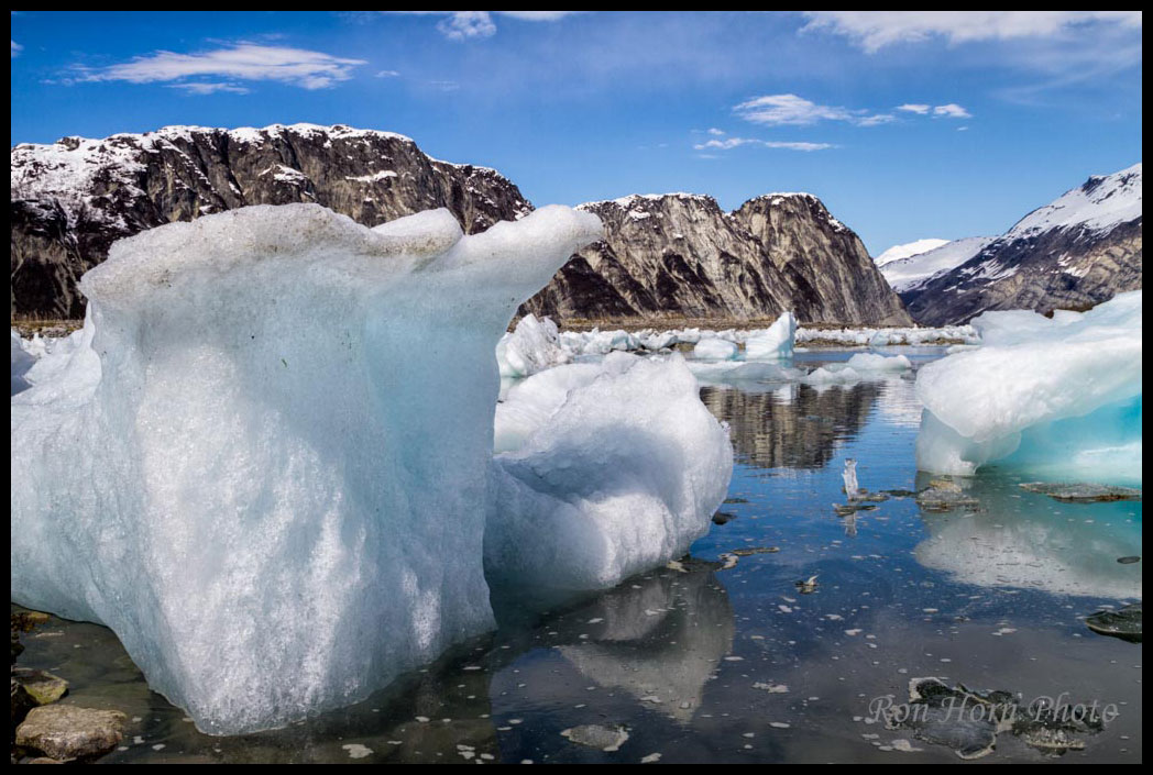 Icebergs Glacier Bay Sea Wolf