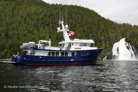 northern song yacht